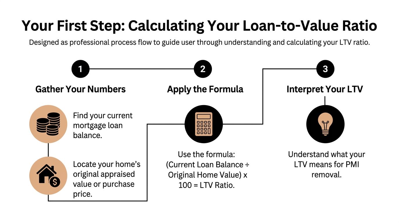 A professional infographic titled Your First Step: Calculating Your Loan-to-Value Ratio with three clear process steps.