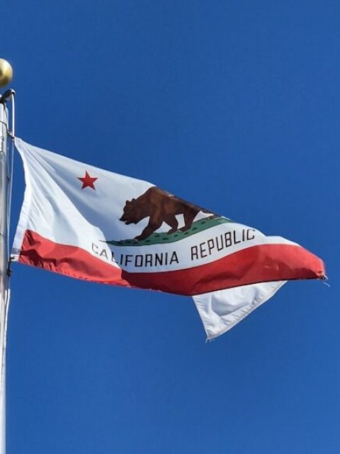 A flag with a bear on it flying in the sky